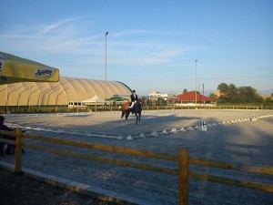 DSC00956