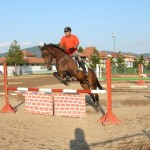 img41