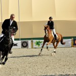 DSC0118-web