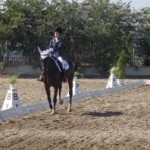 DSC02636-387x260