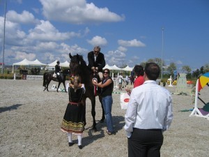IMG_0117-300x225