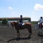 img01-300x225