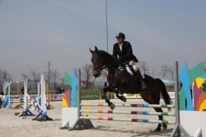 img10-300x200